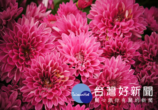 第3名:「繁花似錦」 攝自林鈺婷