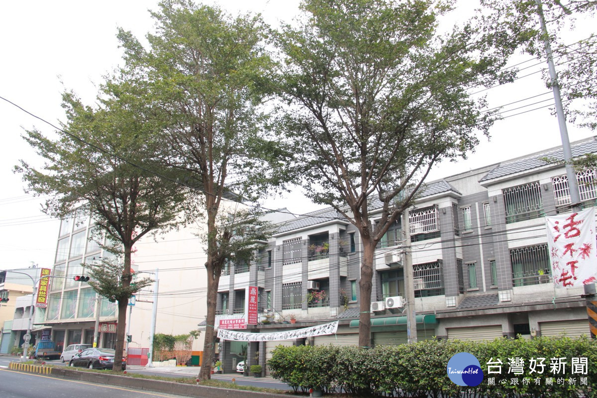 千鳥擾清夢「黃金」落滿地 居民抗議大喊救命