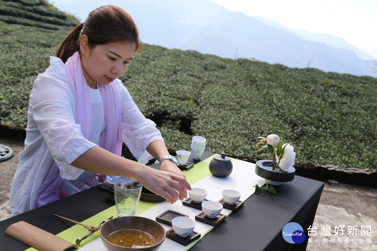 阿里山雲端上的甘露,驚艷茶鄉!