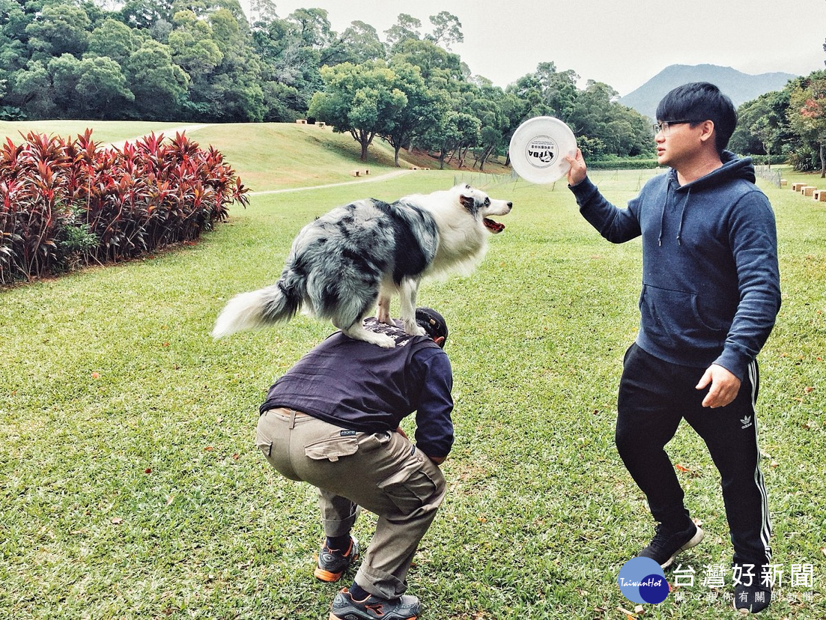 台灣飛盤狗協會教官楊期閎，教導動保員如何訓練毛寶貝進行飛盤互動，運用訓練技巧與狗兒運動互動同歡。（圖／動保處提供）