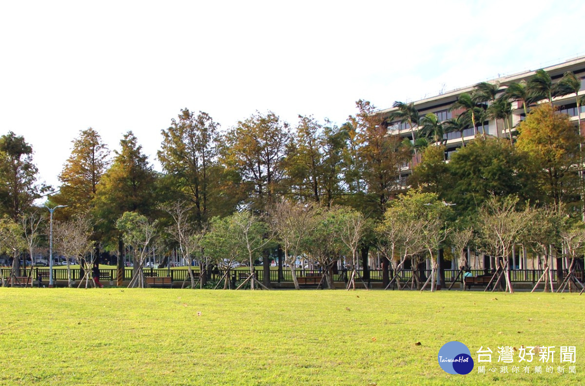 士林官邸公園靠中山北路側擁有美麗的落羽松群及大片草皮。(圖/北市公園處提供)