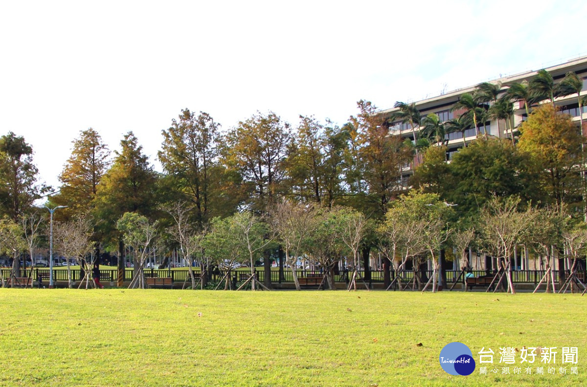 士林官邸公園靠中山北路側擁有美麗的落羽松群及大片草皮。（圖／北市公園處提供）