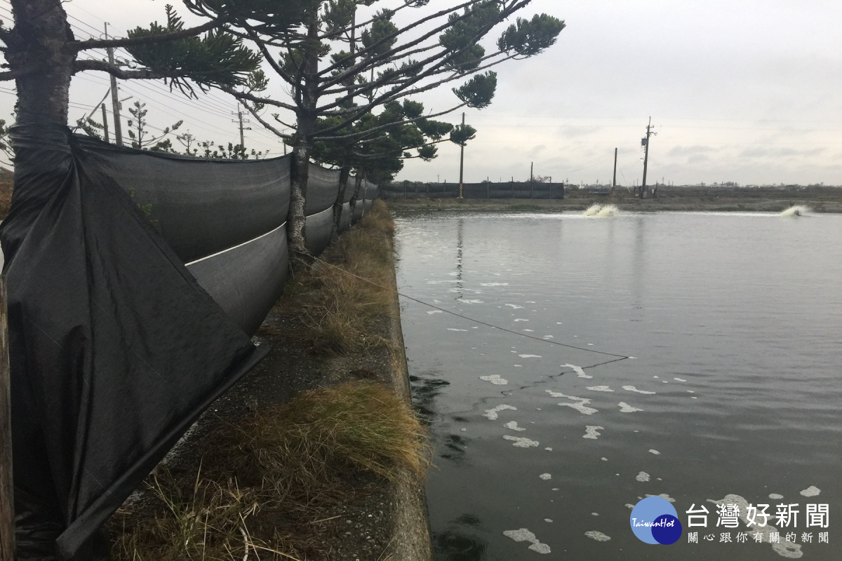 開水車、搭建遮風布棚，是漁民為魚蝦抗寒祭出的必要武器。(圖/記者黃芳祿攝)