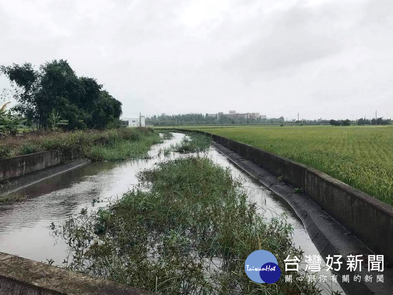疏浚工程建請於4月底汛期前完成,避免去年溝皂里、番溝里近300公頃良田淹水的夢靨重現。(記者陳昭宗拍攝)