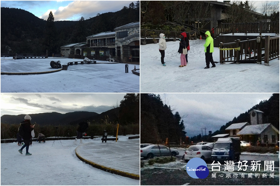 太平山降下今年第一波瑞雪。（圖／太平山國家森林遊樂區提供）