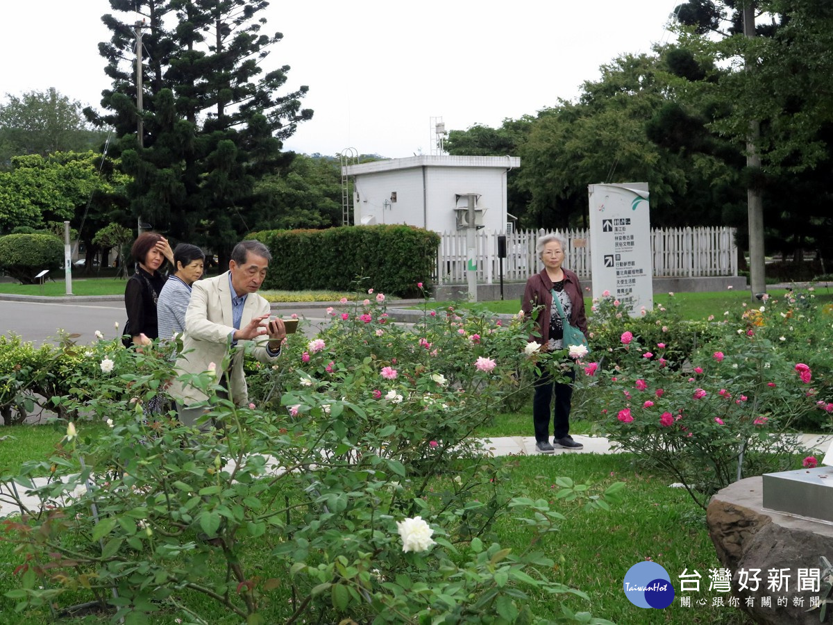 前來一賞玫瑰風采及攝影留念的愛花民眾(圖/北市公園處提供)