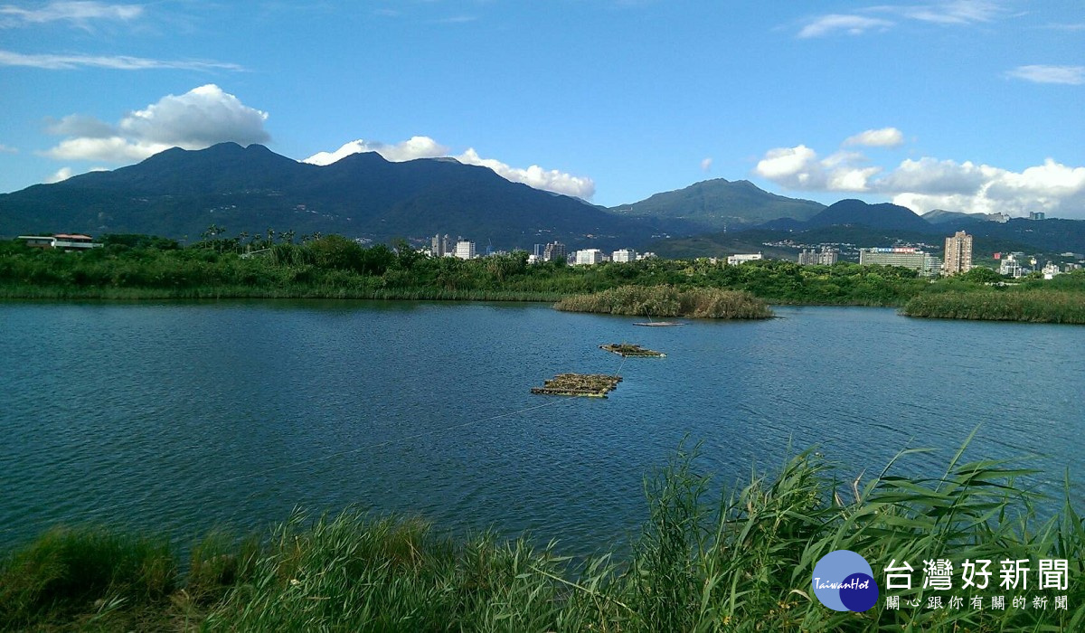 社子島濕地(圖/台北市水利處提供)