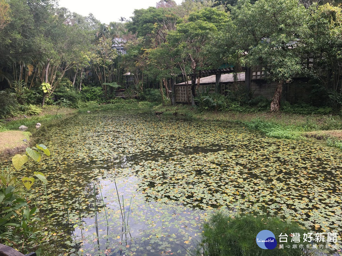 士林官邸生態園生態豐富水質適合螢火蟲復育（圖／台北市公園處提供）