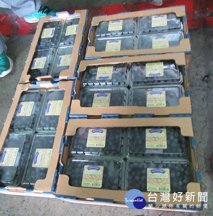 好市多Costco自智利進口的2批NATURIPE鮮藍莓,在衛福部食藥署邊境查驗時,因被驗出農藥益滅松殘留超標,因此兩批共5956.8公斤貨品遭食藥署退運或銷毀。(圖/衛福部食藥署)