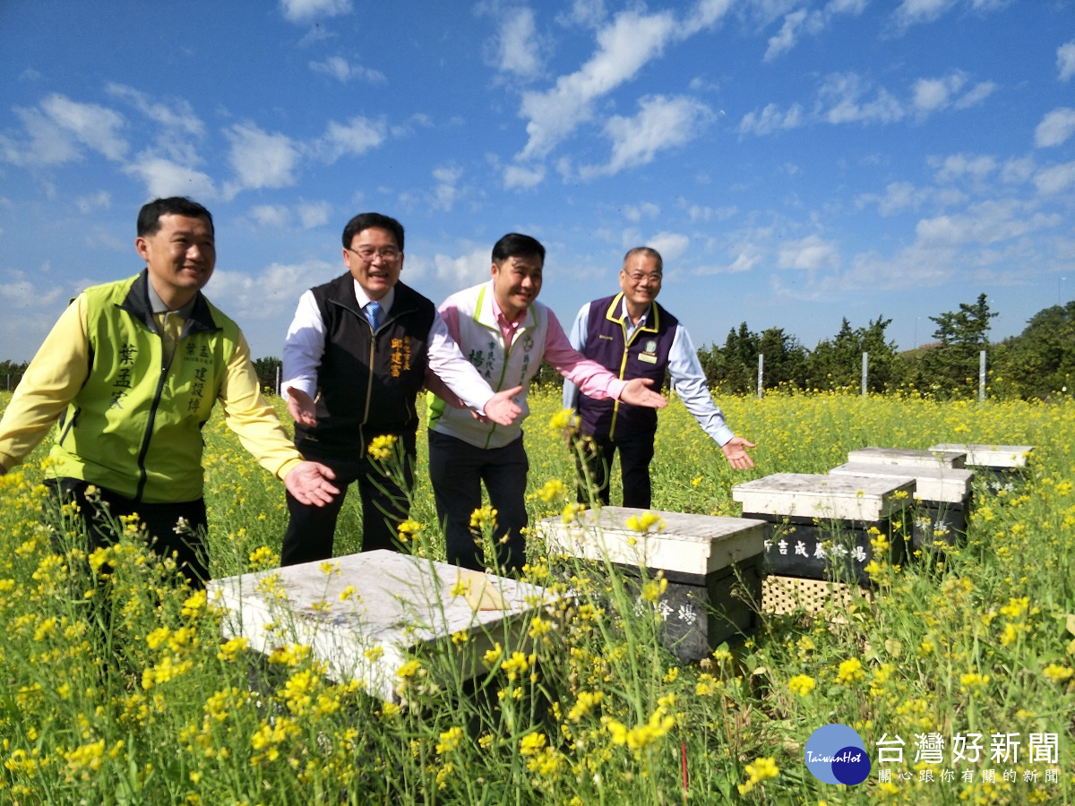 彰化市長邱建富等人在油菜花海中，與蝴蝶、蜜蜂共舞。圖／記者鄧富珍攝