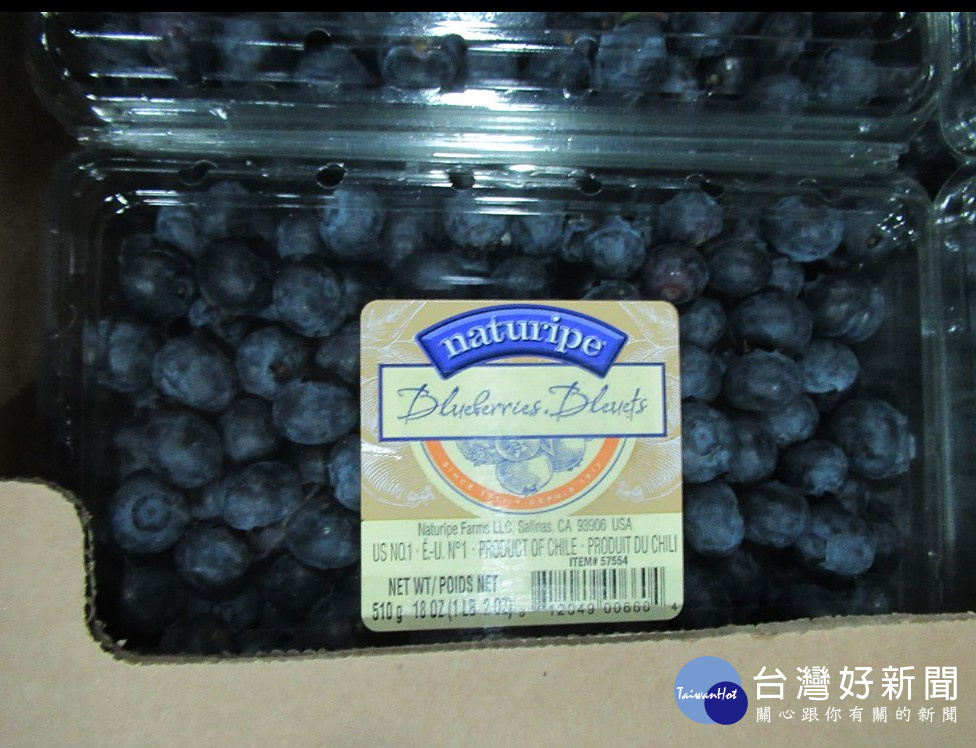 台灣好市多自智利進口的NATURIPE鮮藍莓，因被食藥署邊境查驗檢出農藥殘留超標，貨品遭食藥署退運或銷毀，未流入市面。（圖／衛福部食藥署）
