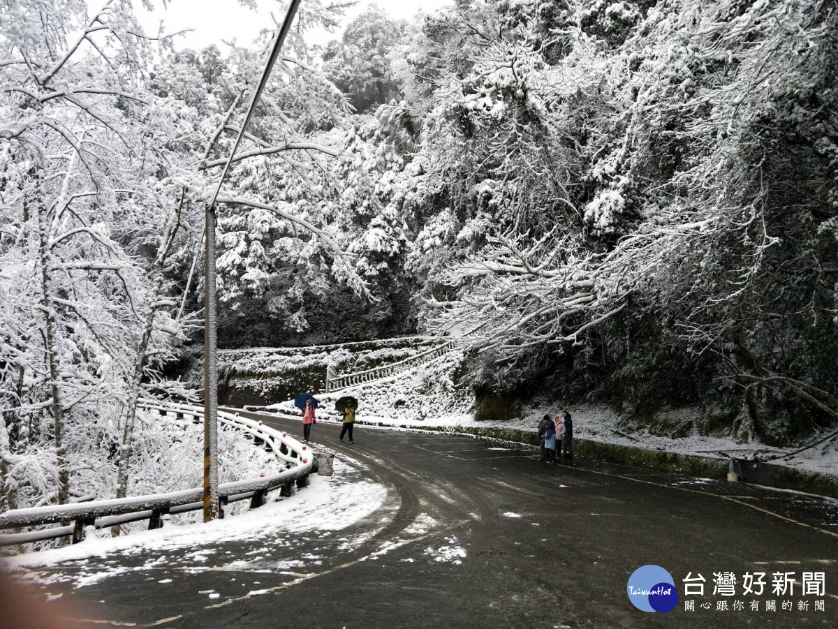 復興區拉拉山下起瑞雪，場面壯觀，警方要求車輛加掛雪鏈，以維安全。(記者陳寶印攝)