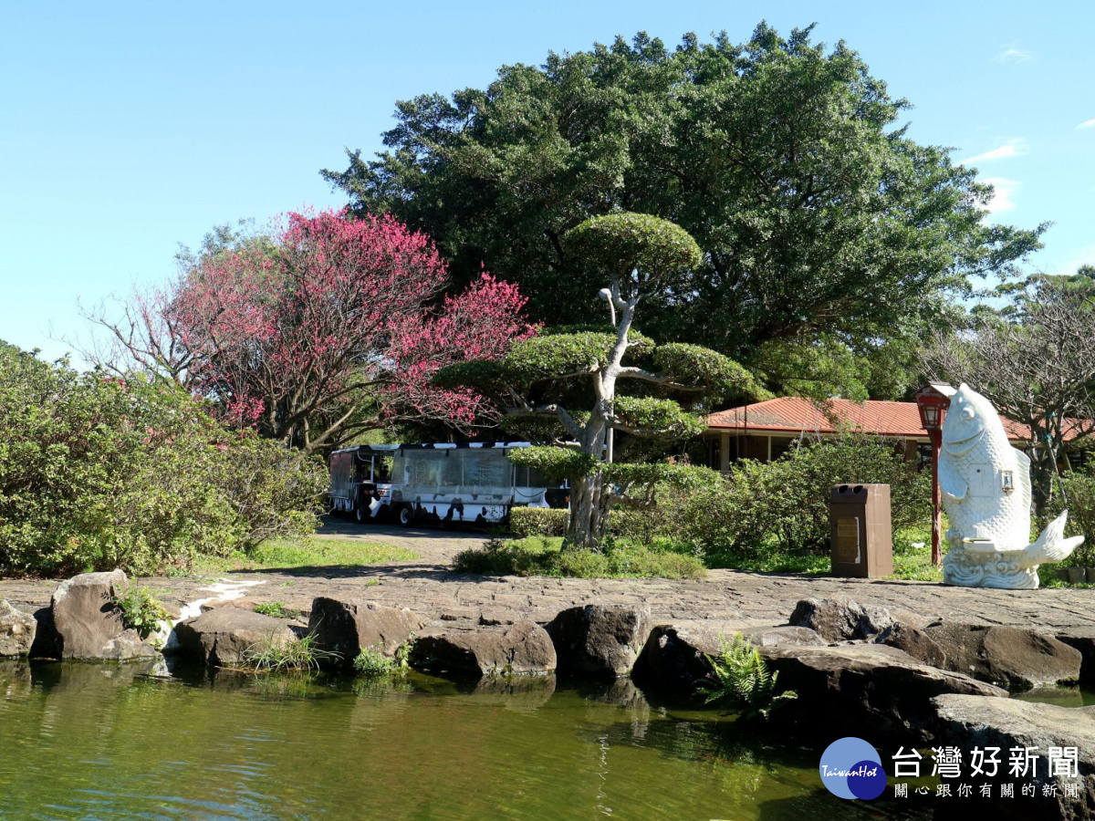 活動現場花園說故事跟著櫻花達人的步伐一起探尋櫻花的秘密與拍照秘境。