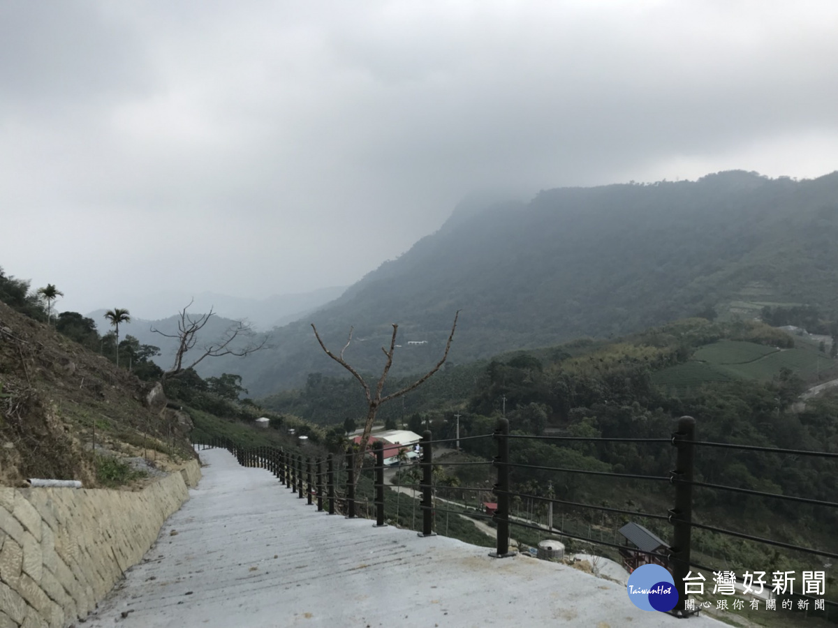 阿里山再添新景點─公興村龍美登山健行、賞景觀雲瀑