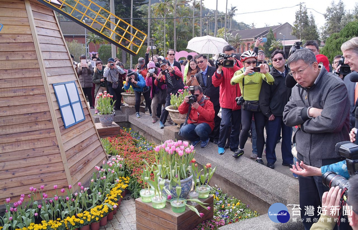 台北市長柯文哲表示，鬱金香展覽期從2月13日至2月28日，剛好跨過農曆新年，歡迎民眾新年期間來士林官邸走春看鬱金香。