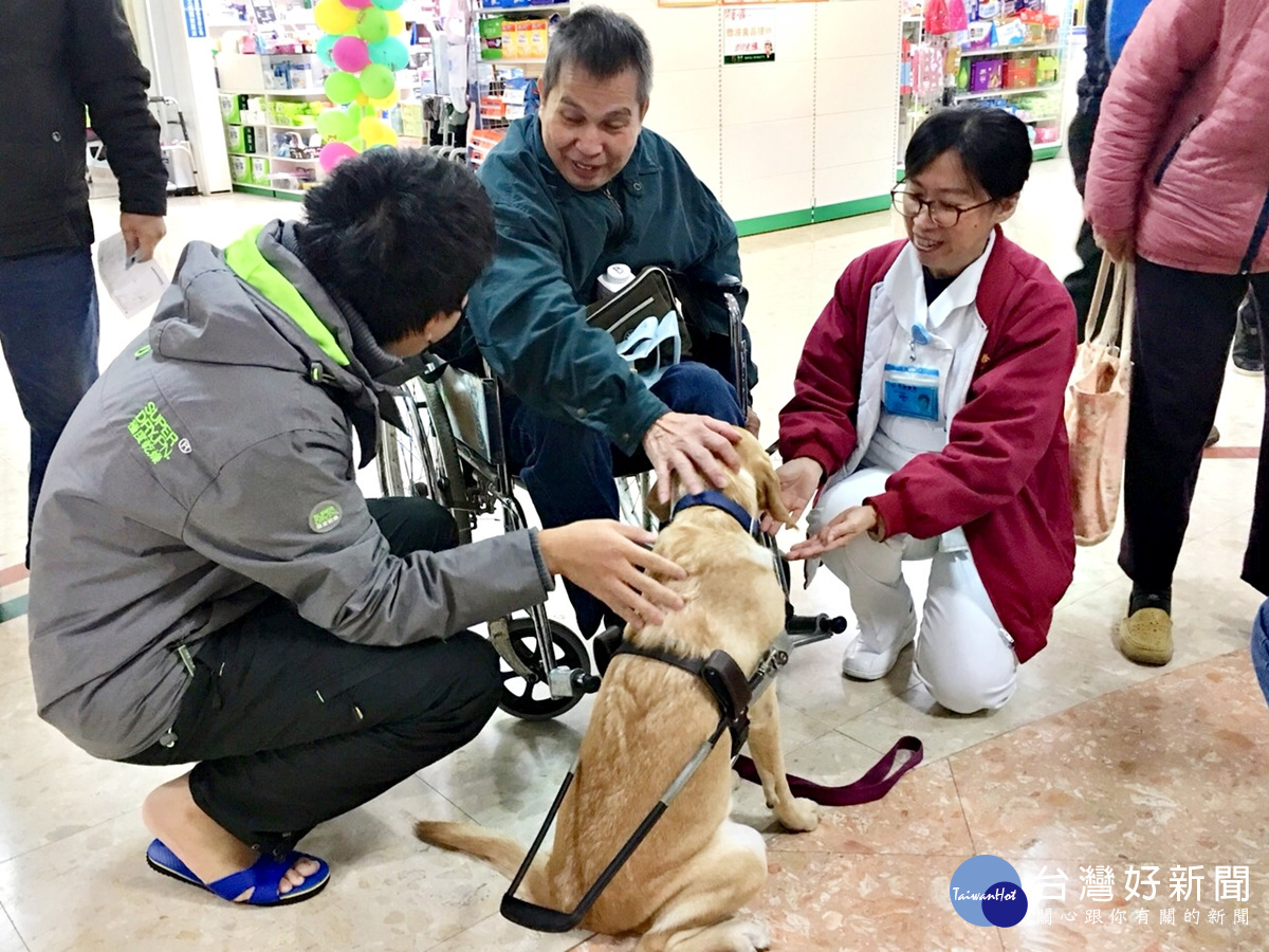 迎春好運旺旺來 導盲犬現身桃醫新屋分院