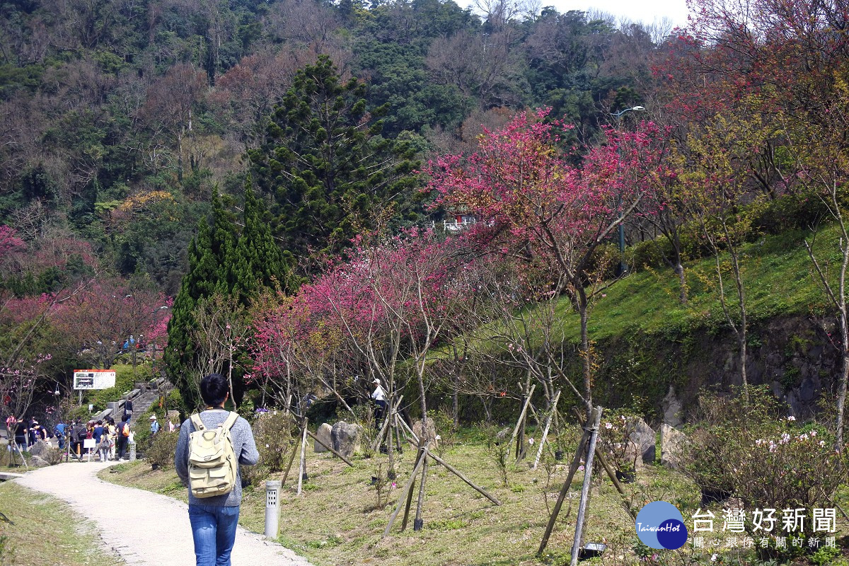 (圖/台北市公園處提供)