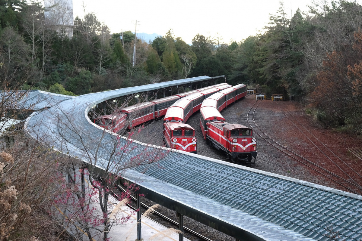 阿里山紅色小火車（圖／資料照片）