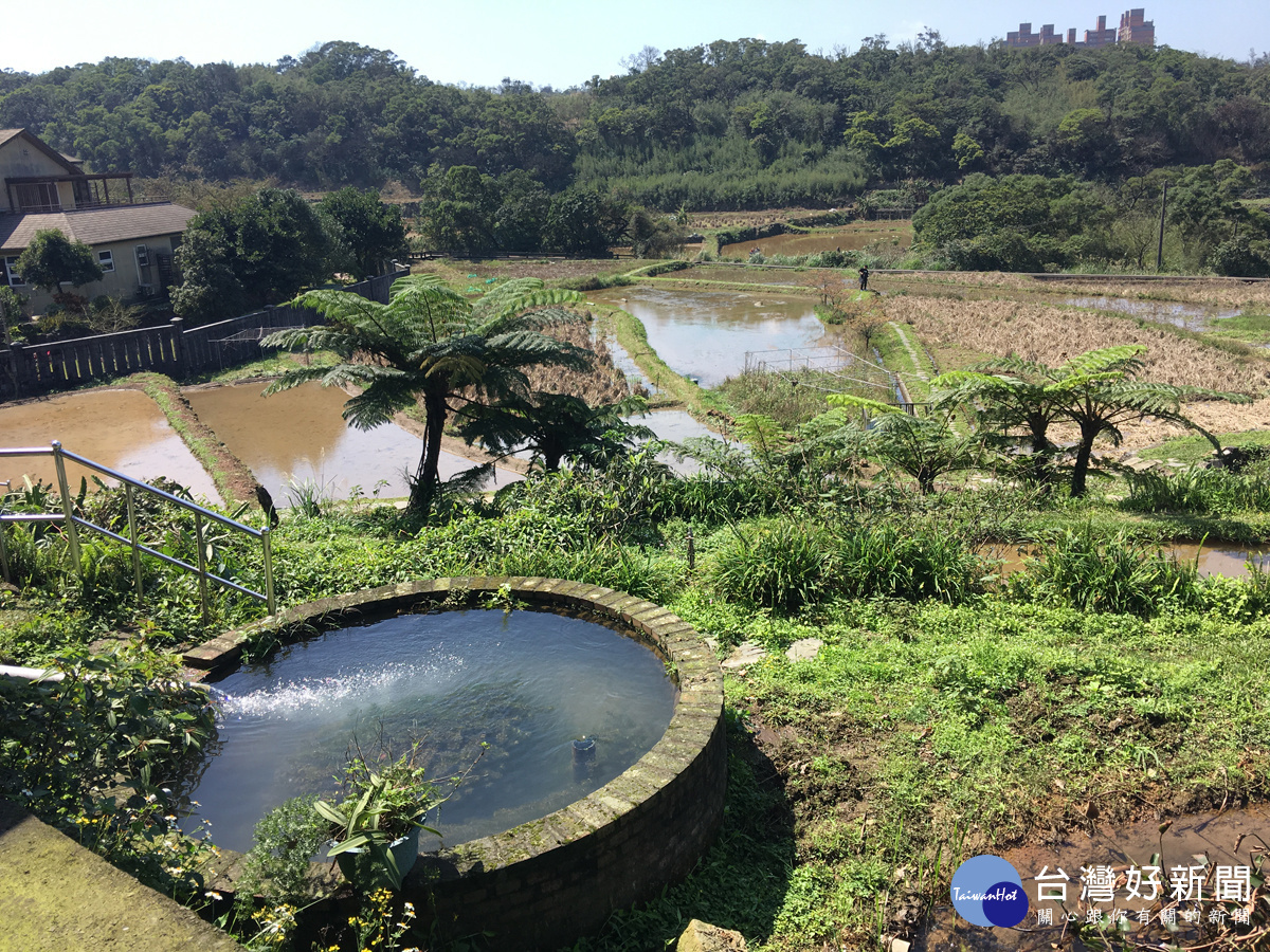 三芝共榮及安康社區推出農事體驗活動，讓久居城市的民眾，享受田園樂。（記者曾一禾攝）