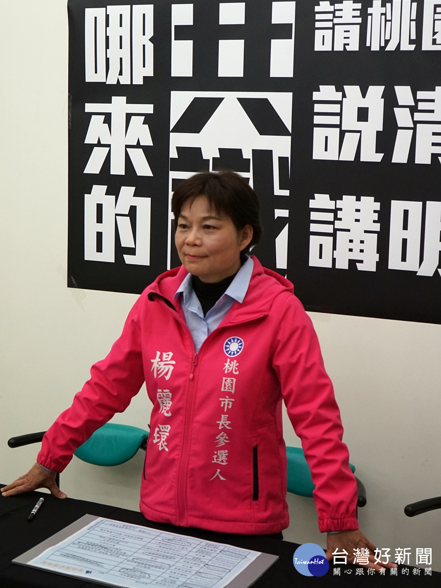 楊麗環召開記者會認為桃園市黨部不公,要求黨中央介入協調