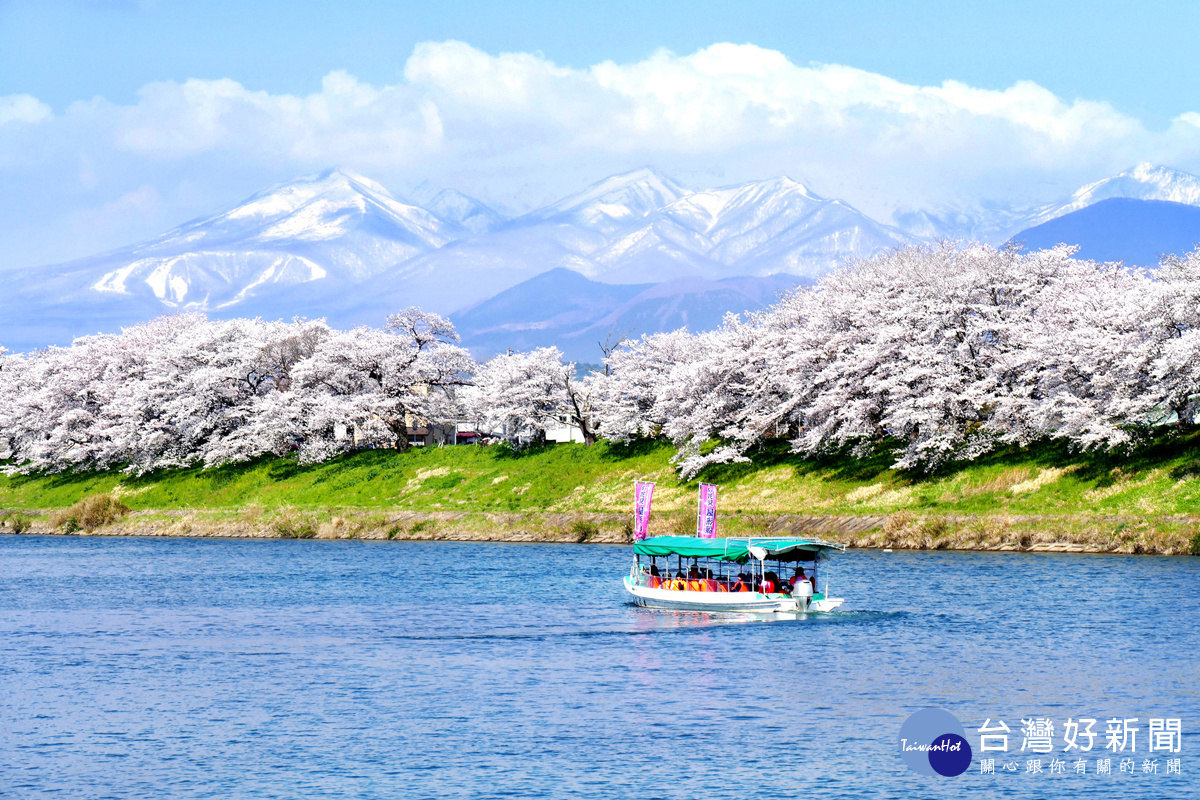 以「一目千本櫻」聞名的白石川堤，櫻花沿著大河原町盛開，花海綿延八公里長，栽種超過千棵的櫻花樹，一眼就能將上千棵的櫻花樹盡收眼底。（圖／喜鴻假期提供）