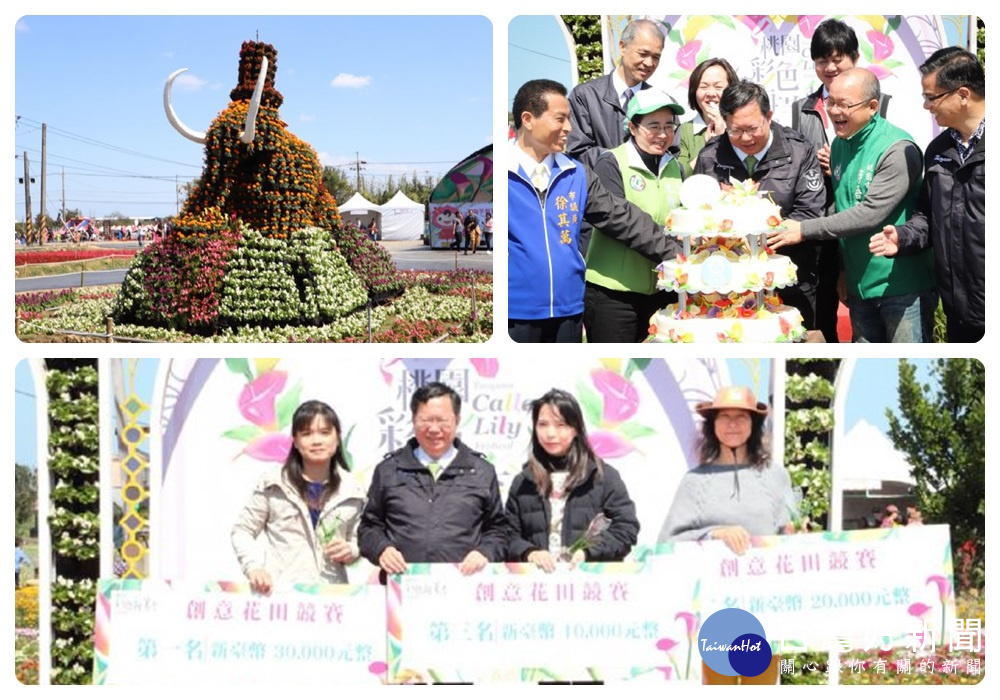 鄭文燦表示,彩芋季活動期間自3月10至25日,共16天,橫跨3個週末,以幸福戀人、花田喜事為主題,