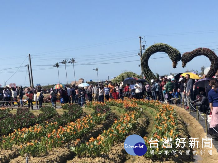 「桃園彩色海芋季」，即日起至3月25日，活動首週末即突破23萬人次。