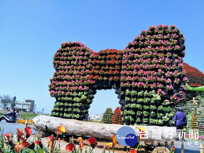 「2018桃園彩色海芋季」展期至週日(25日),邀請民眾趁著最後週末好天氣,遊賞花田!