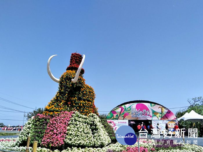 「2018桃園彩色海芋季」展期至週日(25日),邀請民眾趁著最後週末好天氣,遊賞花田!
