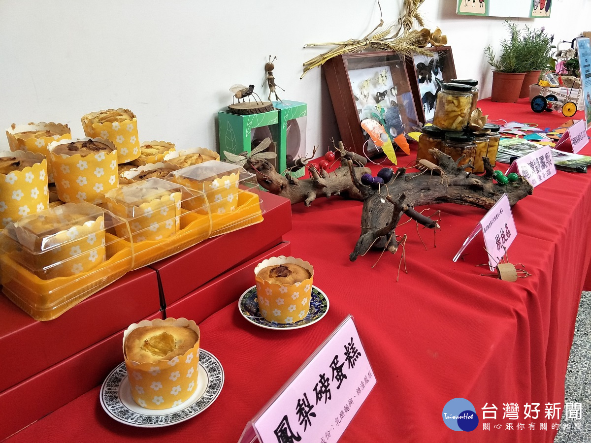 親子共學 環教遊學趣活動各主題擺設。圖/記者鄧富珍攝