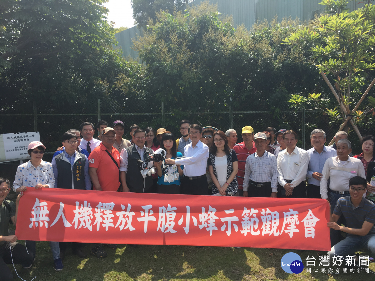 中市荔枝椿象防治再升級 無人機釋放天敵平腹小蜂