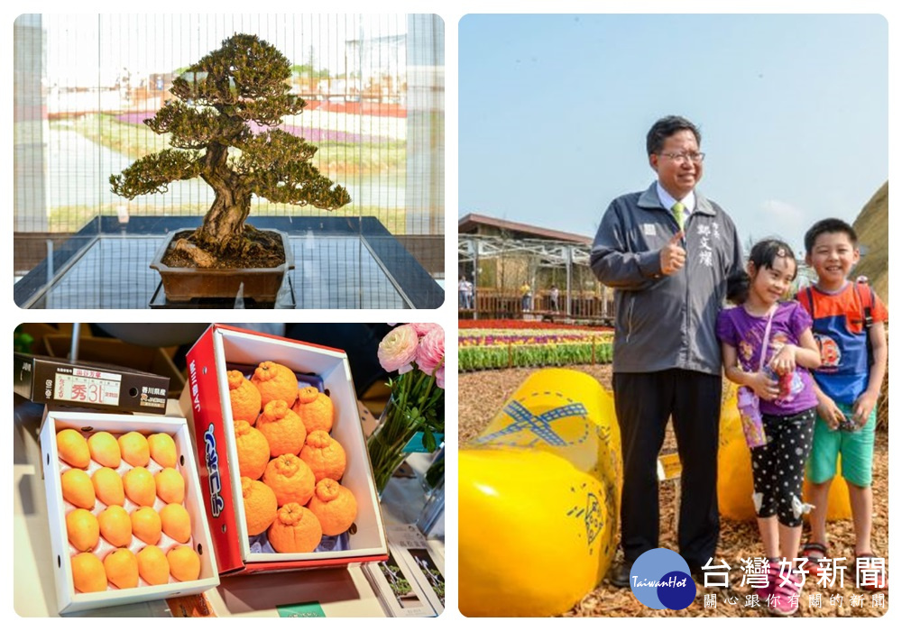鄭市長表示，「國際友好」展館展出日本香川縣及荷蘭農業特色，其中展出盆栽、枇杷、奇異果等農特產品。