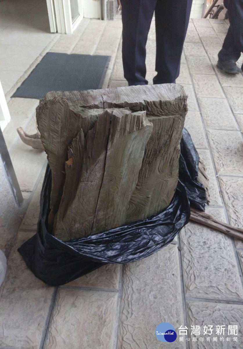 保七總隊第二大隊第一中隊查獲李姓嫌犯竊取肖楠木,依法究辦。(記者陳寶印攝)