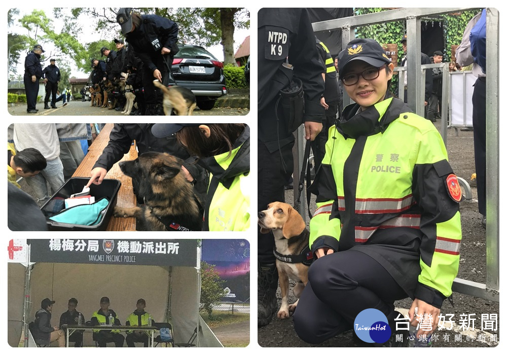 楊梅分局商借新北市政府警察局警犬隊，負責維安執勤務獲得好評。