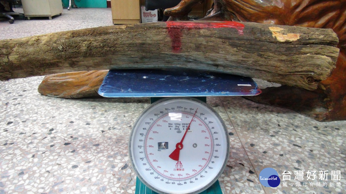 珍貴林木紅檜(總重量約9公斤)，