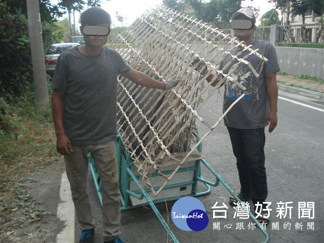 首圖