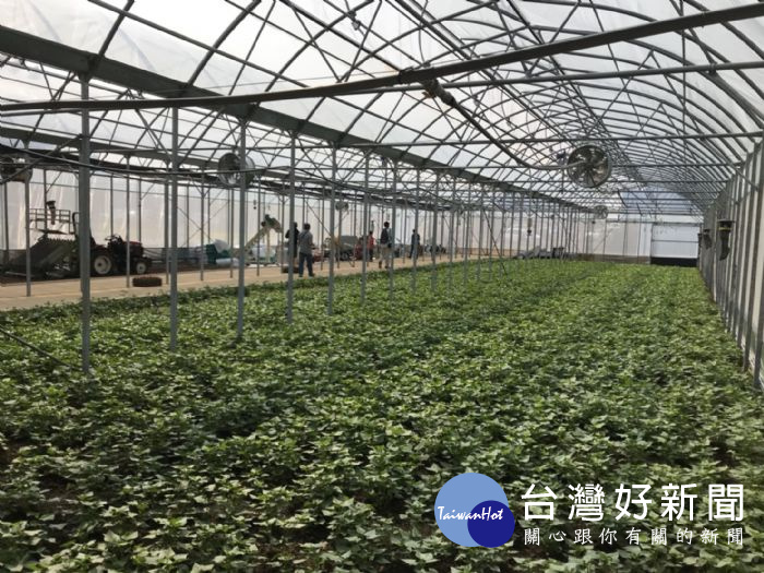 「台灣創新農機館」召集農委會轄下9個農業技術研究單位及技轉合作農機場廠商28家,是史上規模最大農機展。