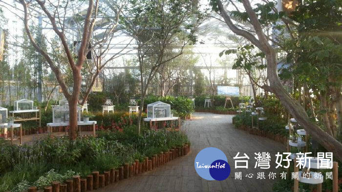 桃園農業博覽會,「溫室饗宴」展區推出DIY體驗活動,帶大家紓壓遊農博。