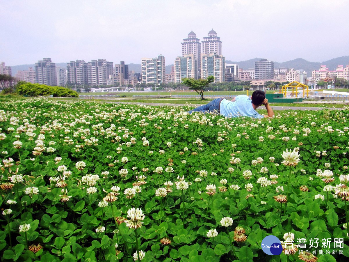 白色花海美呆 隨手拍就充滿戲劇效果。(圖/台北市政府提供)