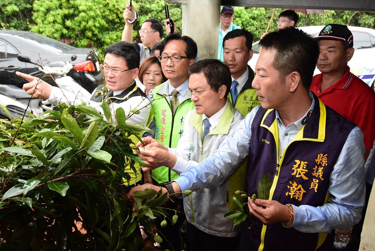 彰化縣長魏明谷與彰化市長邱建富、彰化市農會理事長張翰天(縣議員)、彰化縣議員賴岸璋、林世賢、林茂明等人視察荔枝樹災情。