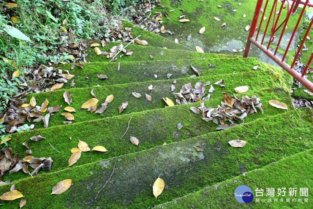 農業處長陳瑞慶呼籲民眾清除居家環境中的青苔除蚊。（記者扶小萍攝）