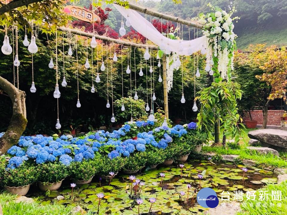 大梯田花卉生態農園打卡點。(圖/北投區農會提供)