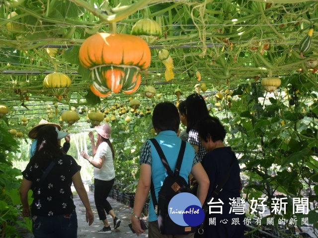 首圖