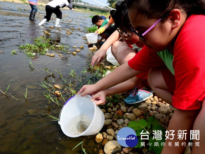 桃園市環保局在南崁溪會稽橋與青溪橋之間，進行生態棲地營造復育的活動，進而恢復河川美好的樣貌。