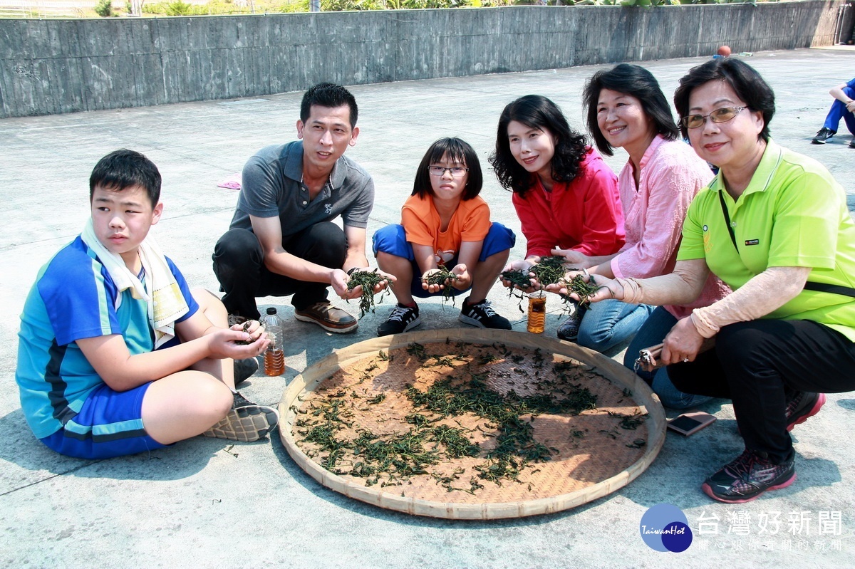 名間鄉長夫人李雁惠也到茶廠和同學體驗做茶。（記者扶小萍攝）