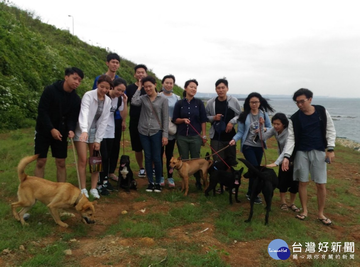 淡江大學法文系陳怡儒等12名學生到淡水動物之家當一日志工，到附近海邊溜狗。（圖／動保處提供）