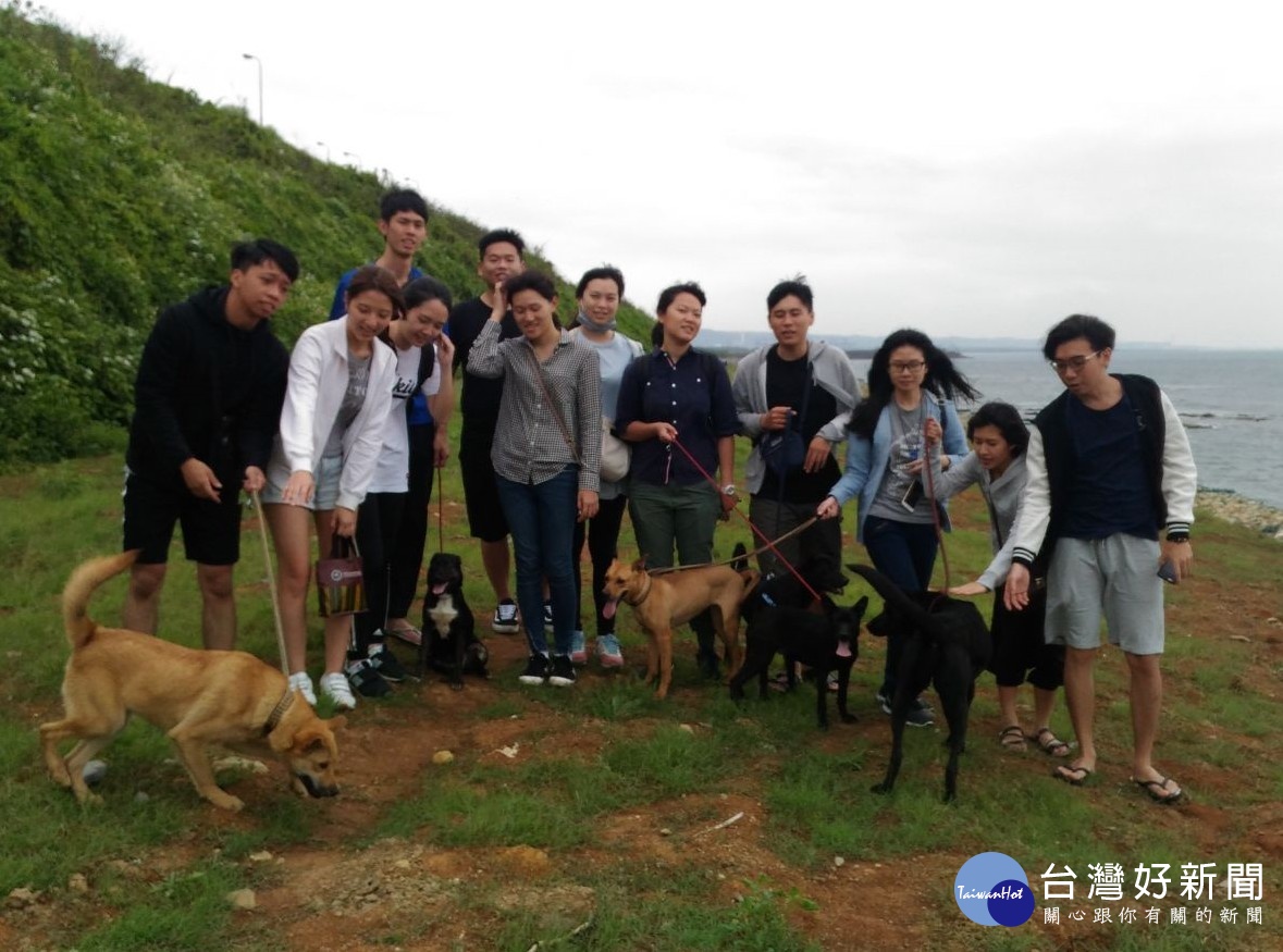 淡江大學法文系陳怡儒等12名學生到淡水動物之家當一日志工,到附近海邊溜狗。(圖/動保處提供)