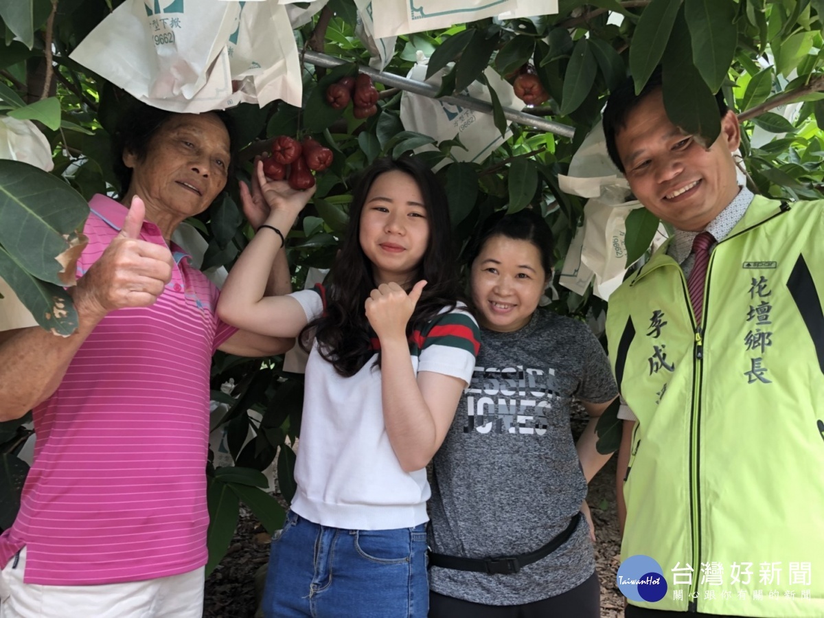 花壇鄉長李成濟行銷花壇在地砲彈蓮霧。圖/者鄧富珍攝