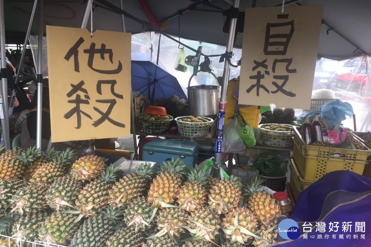 殺鳳梨只在服務消費者而掛起吸引人上門紙看板。(圖/記者黃芳祿攝)