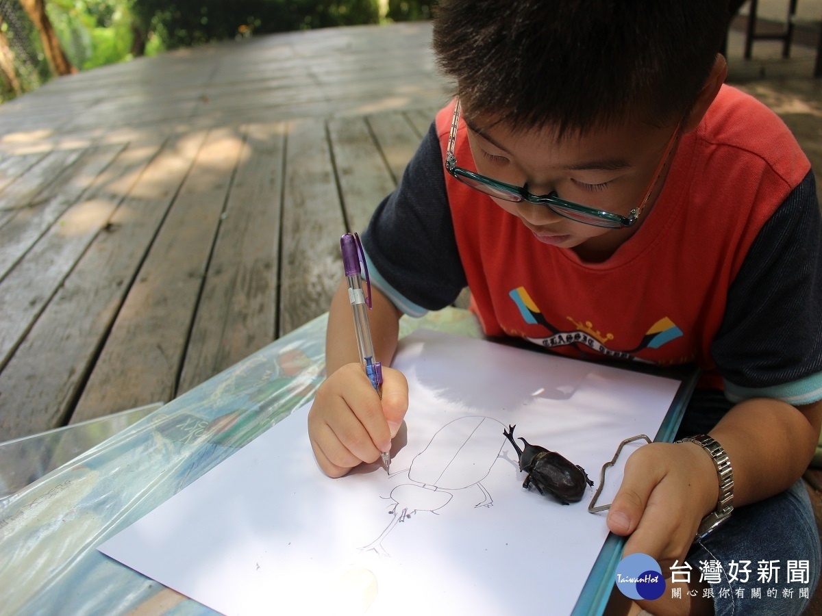 打造優質生態環境 文德國小透過教育從小紮根